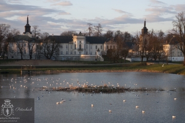 Pałac wiosną