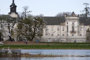 Pałac wiosną