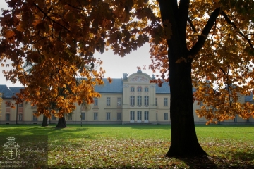 Pałac jesienią