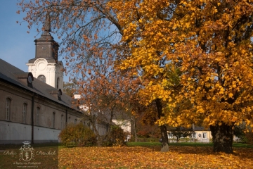 Pałac jesienią
