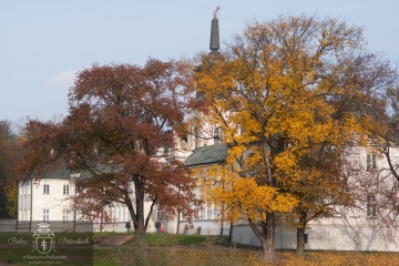 Pałac jesienią