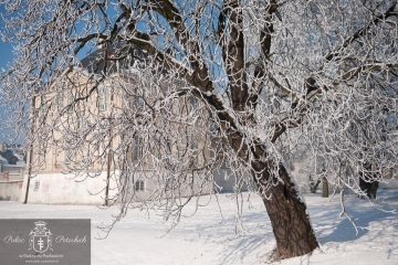 Pałac Ptockich w Radzyniu Podlaskim - zima