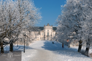 Pałac Ptockich w Radzyniu Podlaskim - zima