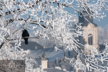 Pałac Ptockich w Radzyniu Podlaskim - zima