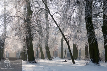 Pałac Ptockich w Radzyniu Podlaskim - zima