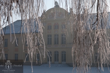 Pałac Ptockich w Radzyniu Podlaskim - zima